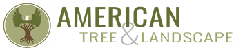 American Tree & Landscape &ndash; Serving Phoenix for 10+ Years!
